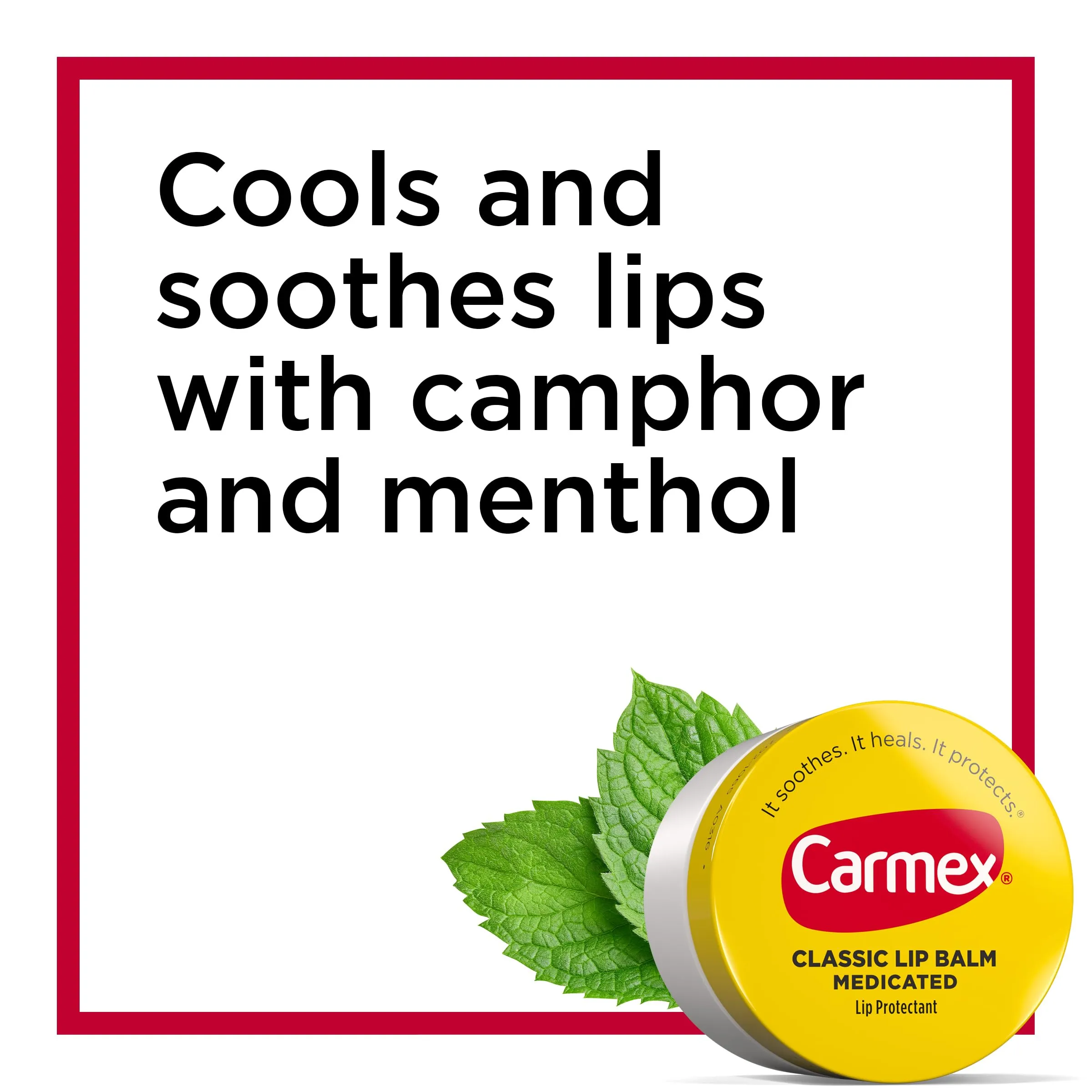 Carmex Medicated Moisturizing Lip Balm