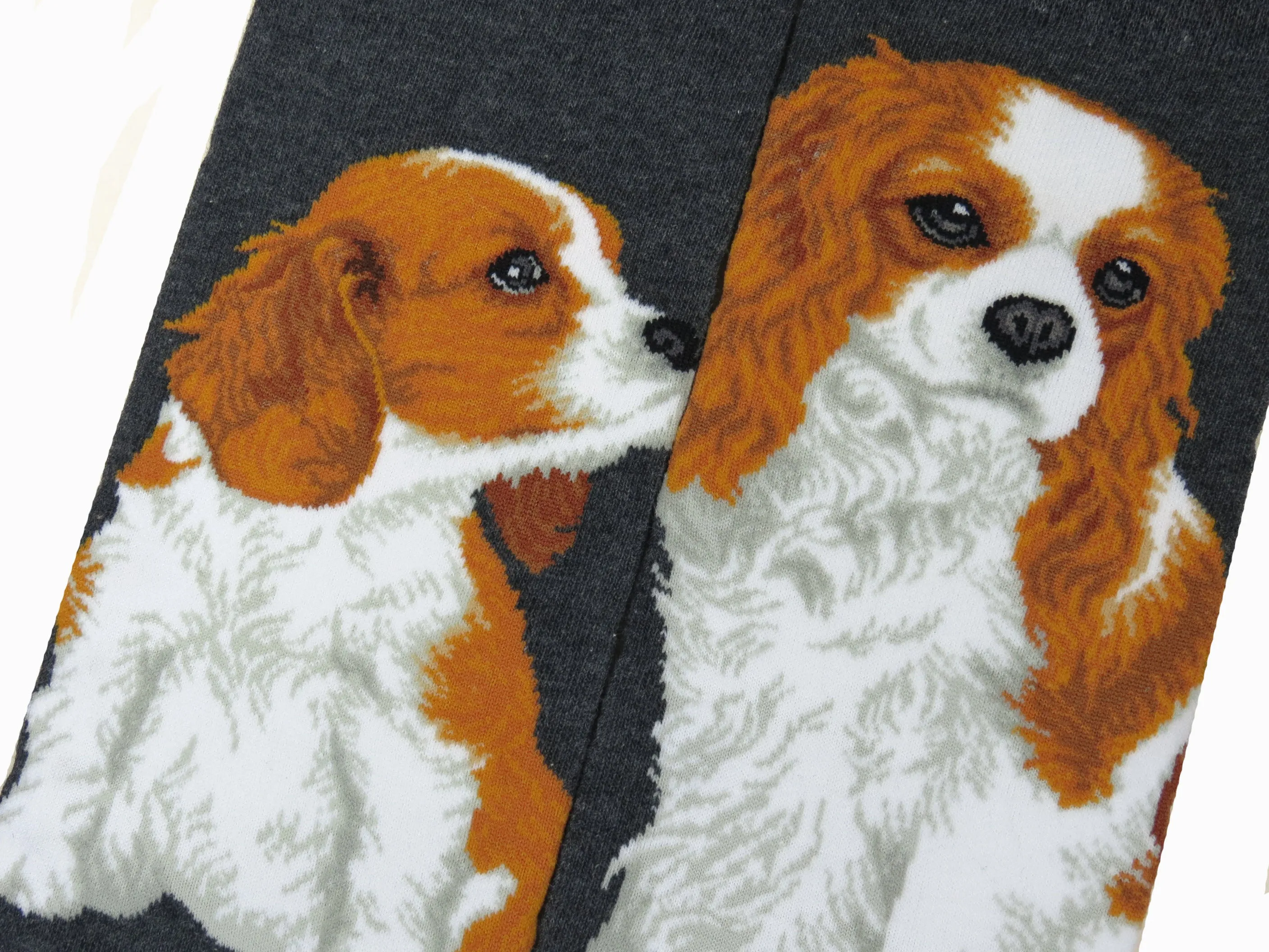 Dogs - Cavalier King Charles Men Size