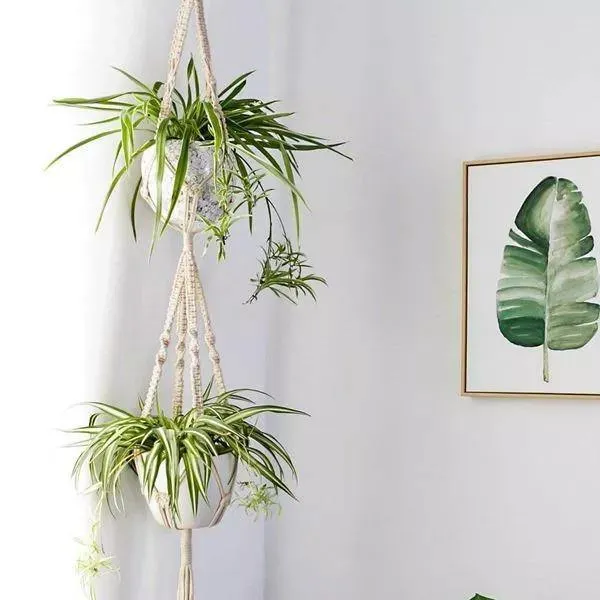 Handmade Bohemian Macrame Plant Hanger Set